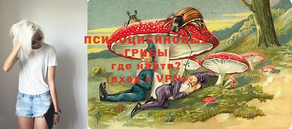 герыч Бородино